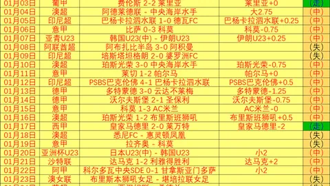 河南队有意租借引进智利中锋皮诺，并享有优先购买权
